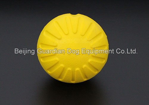 Guardian Foam Ball