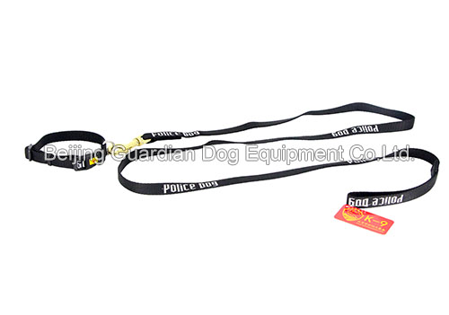 Leash for Puppies, 1.7 m