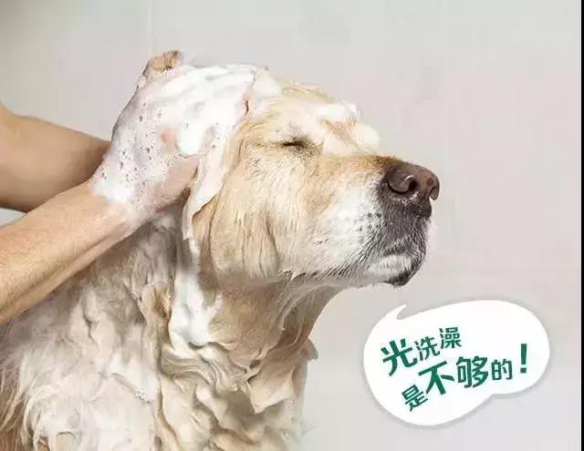 微信图片_20180608104123.jpg 微信图片_20180608104123.jpg