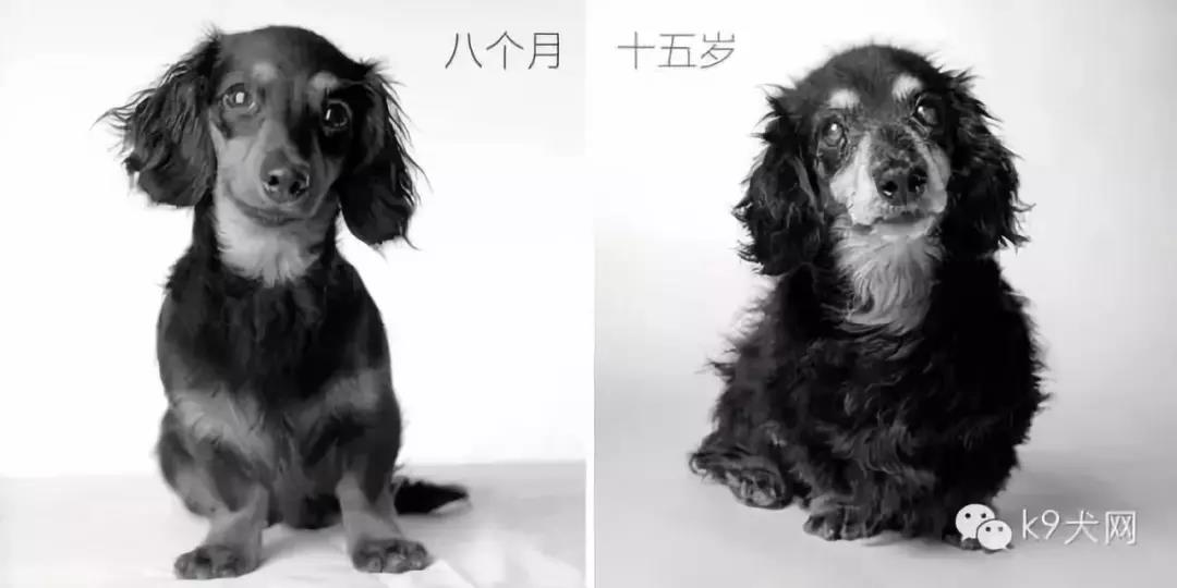 微信图片_20180609081236.jpg 微信图片_20180609081236.jpg
