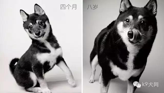 微信图片_20180609081253.jpg 微信图片_20180609081253.jpg