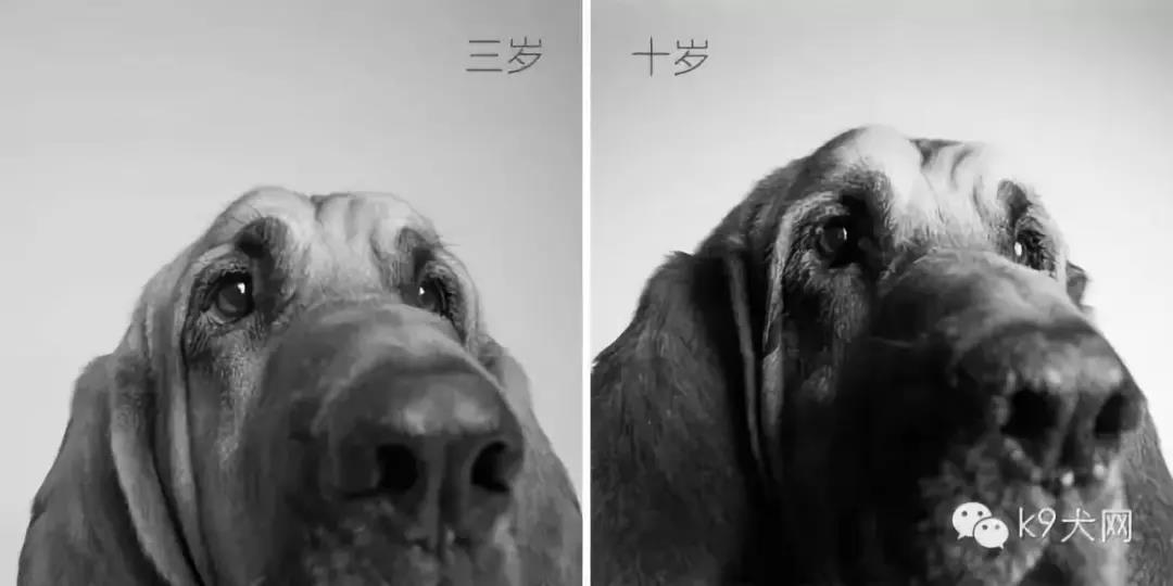 微信图片_20180609081257.jpg 微信图片_20180609081257.jpg