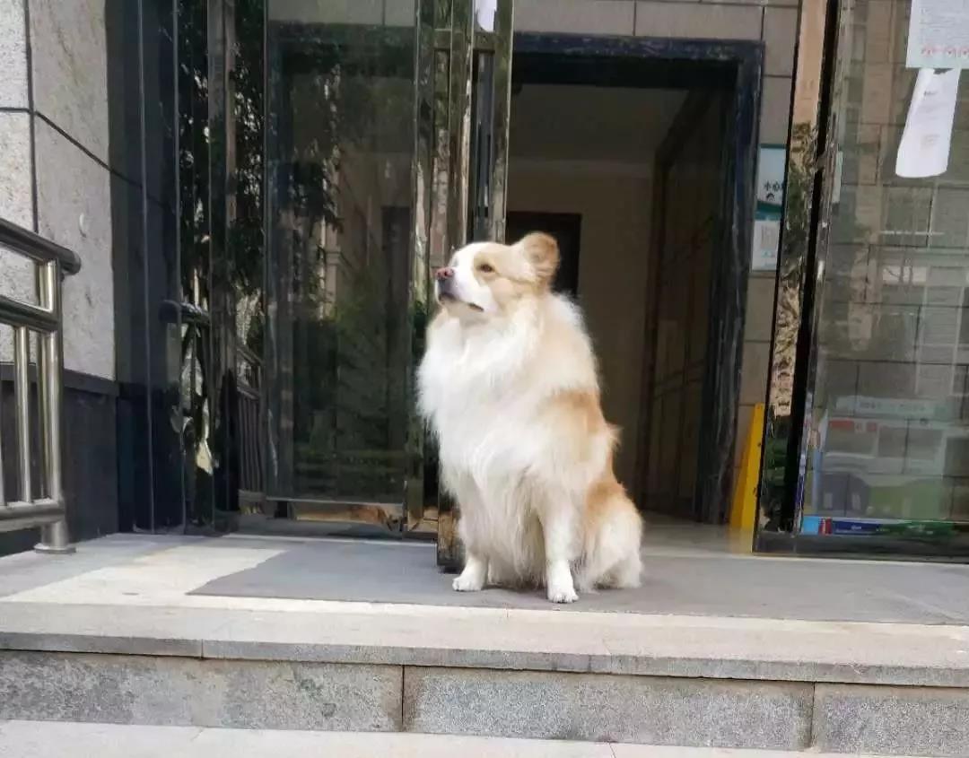 微信图片_20180609082906.jpg 微信图片_20180609082906.jpg