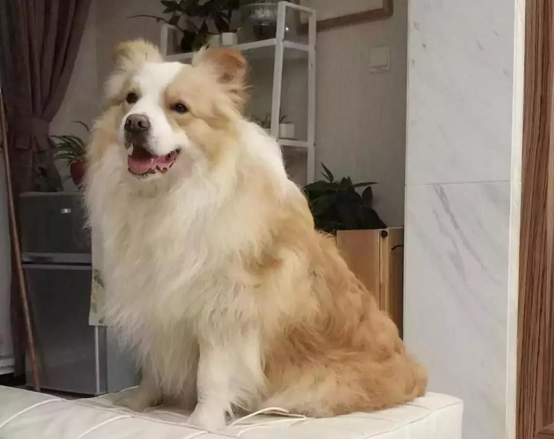 微信图片_20180609082923.jpg 微信图片_20180609082923.jpg