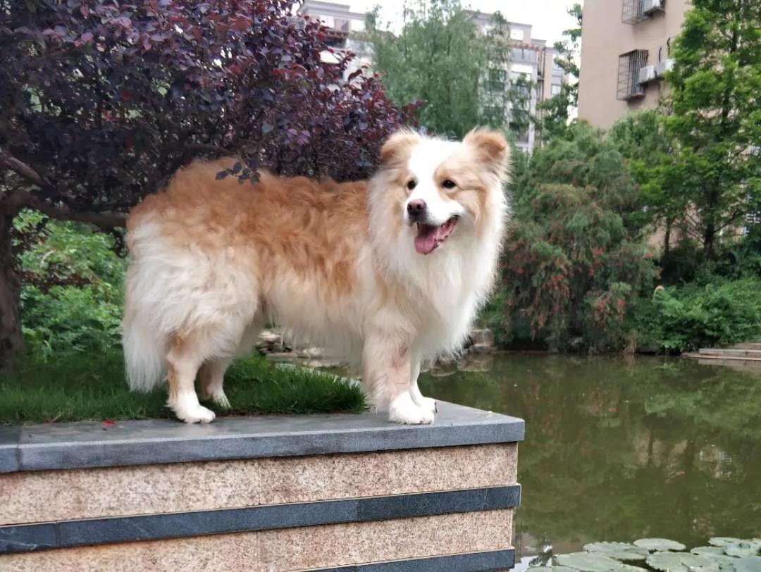 微信图片_20180609082929.jpg 微信图片_20180609082929.jpg