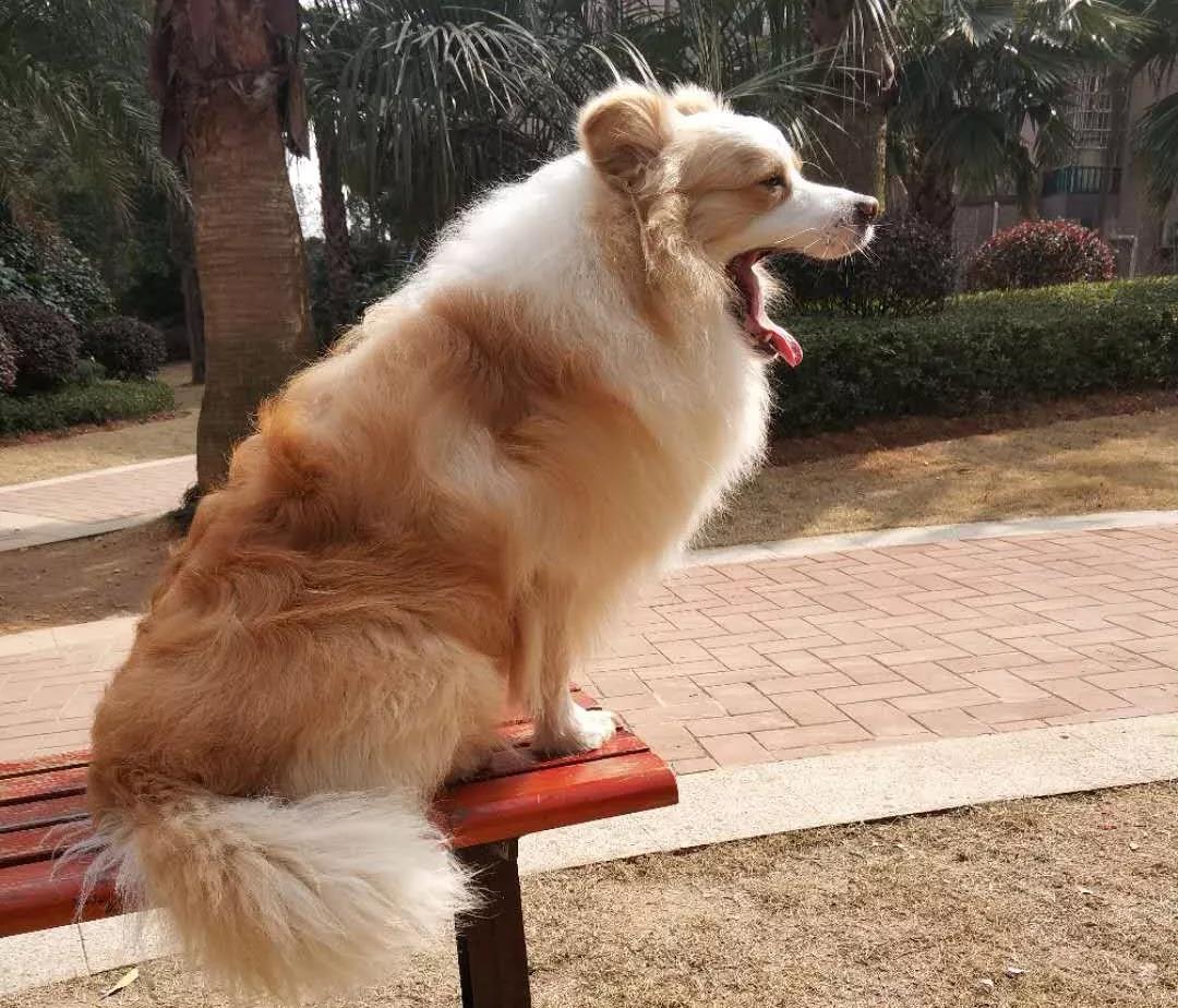微信图片_20180609082934.jpg 微信图片_20180609082934.jpg