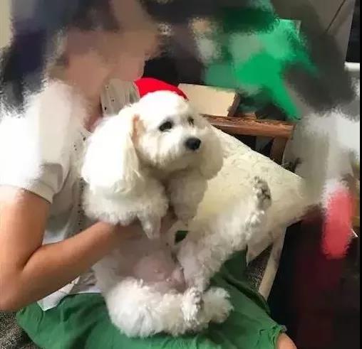 微信图片_20180611083742.jpg 微信图片_20180611083742.jpg