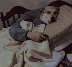 微信图片_20180611084455.gif 微信图片_20180611084455.gif