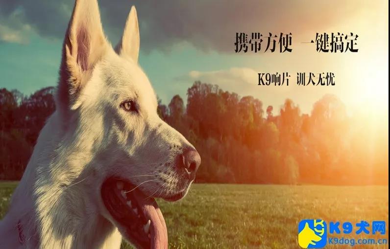 微信图片_20180611090620.jpg 微信图片_20180611090620.jpg