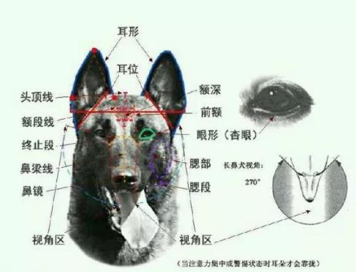 微信图片_20180615080647.jpg 微信图片_20180615080647.jpg