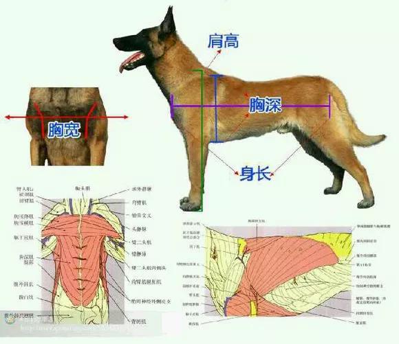 微信图片_20180615080652.jpg 微信图片_20180615080652.jpg