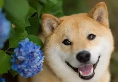 微信图片_20180615083529.jpg 微信图片_20180615083529.jpg