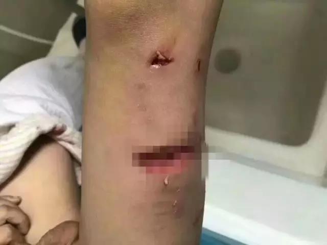 微信图片_20180616081637.jpg 微信图片_20180616081637.jpg