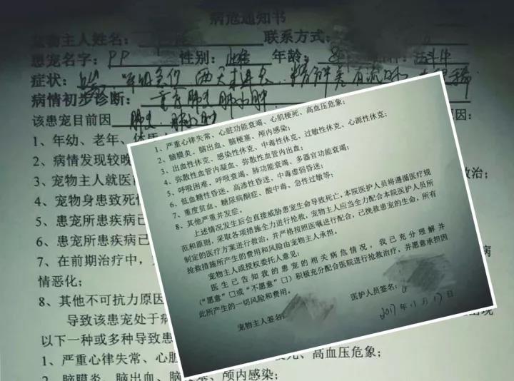 微信图片_20180621090956.jpg 微信图片_20180621090956.jpg