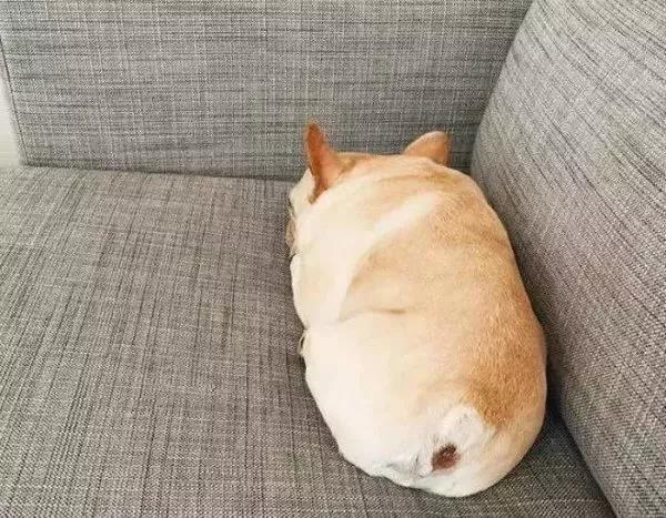 微信图片_20180621091855.jpg 微信图片_20180621091855.jpg