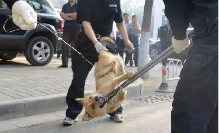 微信图片_20180621091910.jpg 微信图片_20180621091910.jpg