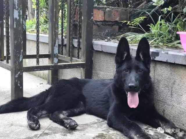 微信图片_20180623081933.jpg 微信图片_20180623081933.jpg