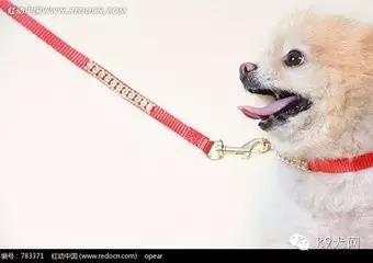 微信图片_20180629142343.jpg 微信图片_20180629142343.jpg