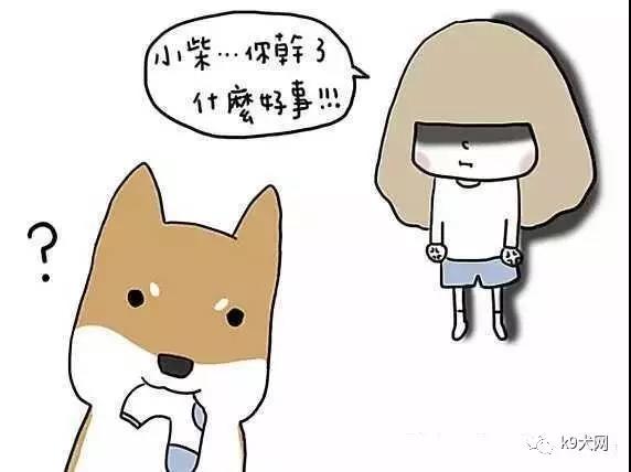 微信图片_20180706082633.jpg 微信图片_20180706082633.jpg