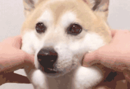 微信图片_20180709093613.gif 微信图片_20180709093613.gif