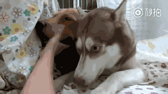 微信图片_20180709094408.gif 微信图片_20180709094408.gif