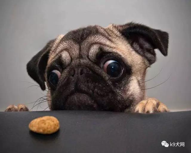 微信图片_20180710085638.jpg 微信图片_20180710085638.jpg