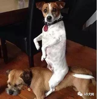 微信图片_20180710090735.jpg 微信图片_20180710090735.jpg