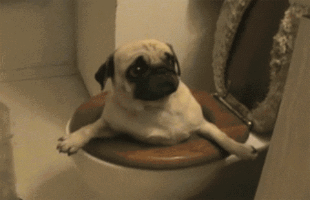 微信图片_20180712082451.gif 微信图片_20180712082451.gif