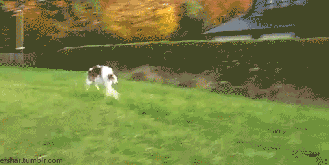 微信图片_20180712082455.gif 微信图片_20180712082455.gif