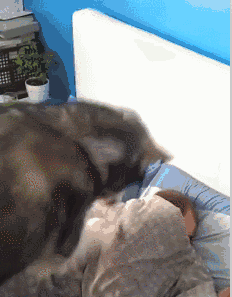 微信图片_20180712082459.gif 微信图片_20180712082459.gif