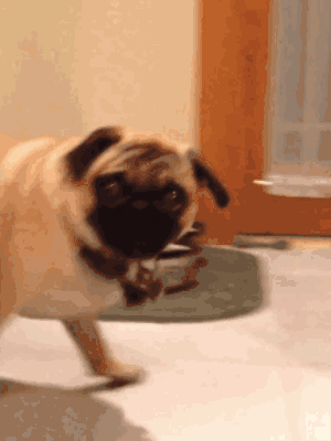 微信图片_20180712082503.gif 微信图片_20180712082503.gif