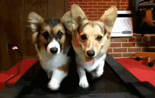 微信图片_20180712082508.gif 微信图片_20180712082508.gif