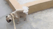 微信图片_20180712082522.gif 微信图片_20180712082522.gif
