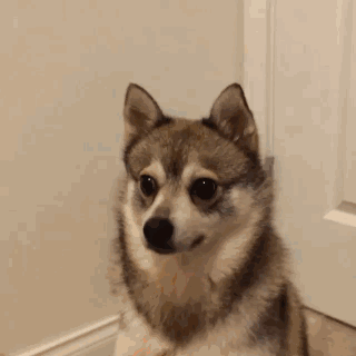 微信图片_20180712082531.gif 微信图片_20180712082531.gif
