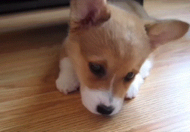 微信图片_20180712082535.gif 微信图片_20180712082535.gif
