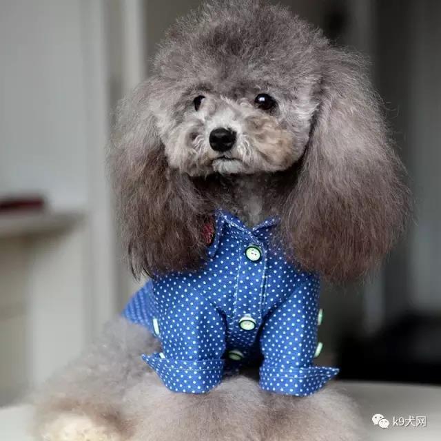 微信图片_20180712130450.jpg 微信图片_20180712130450.jpg