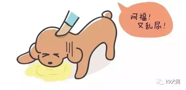 微信图片_20180718164806.jpg 微信图片_20180718164806.jpg
