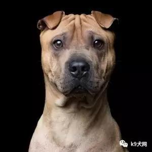 微信图片_20180718172257.jpg 微信图片_20180718172257.jpg
