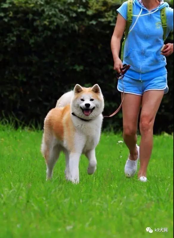 微信图片_20180719080411.jpg 微信图片_20180719080411.jpg