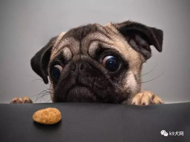 微信图片_20180719080427.jpg 微信图片_20180719080427.jpg