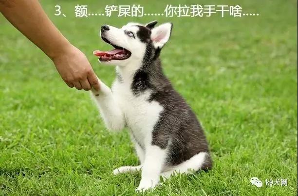 微信图片_20180719081441.jpg 微信图片_20180719081441.jpg