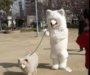 微信图片_20180723092516.jpg 微信图片_20180723092516.jpg
