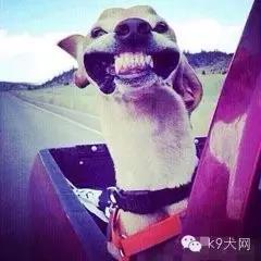微信图片_20180723092519.jpg 微信图片_20180723092519.jpg
