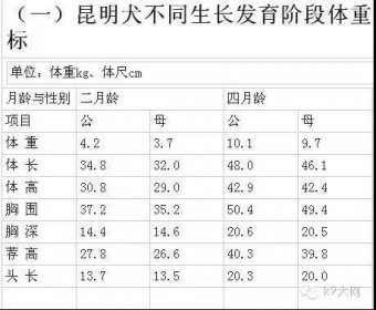 昆明犬的不同生长发育期体重标准参考
