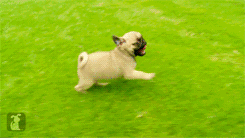 微信图片_20180802082603.gif 微信图片_20180802082603.gif