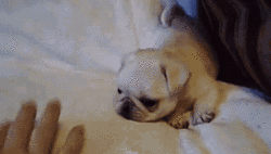 微信图片_20180802082610.gif 微信图片_20180802082610.gif