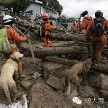 微信图片_20180802084837.jpg 微信图片_20180802084837.jpg