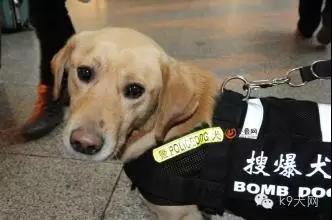 微信图片_20180802084852.jpg 微信图片_20180802084852.jpg