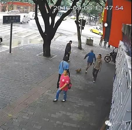 微信图片_20180802091213.jpg
