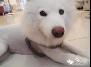 微信图片_20180806113554.jpg